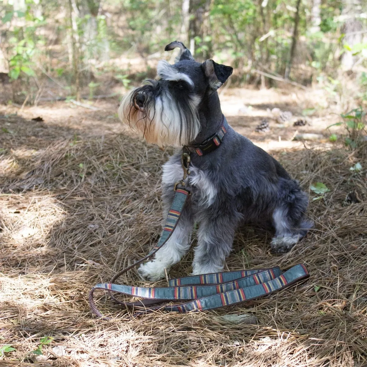 Pendleton National Park Hiker Leash
