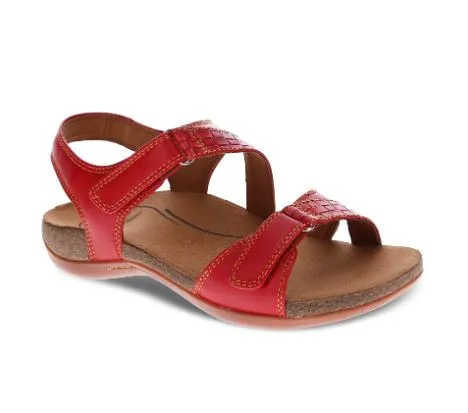 Scholl Aria Sandal