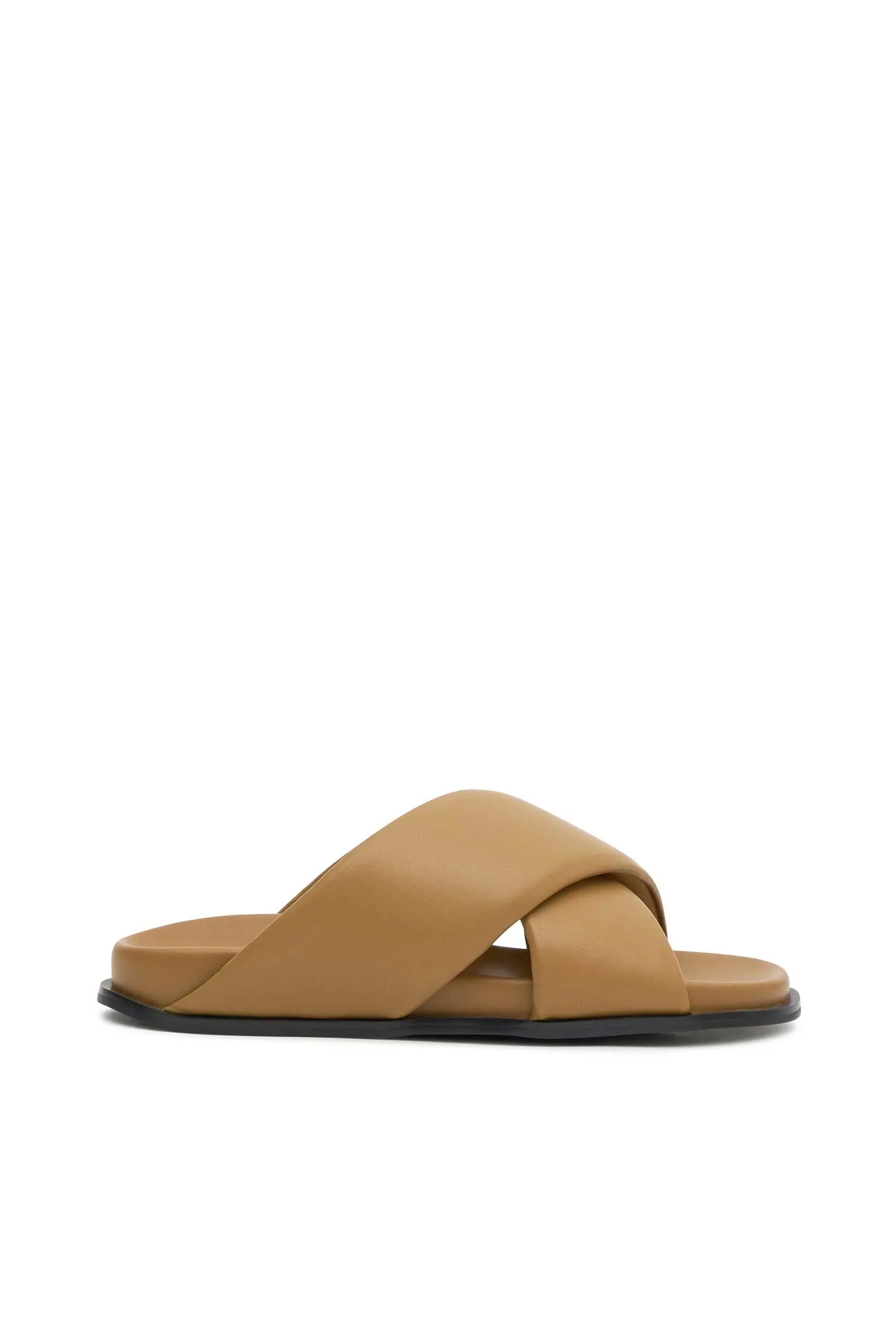 THE BODE TAN SLIDE